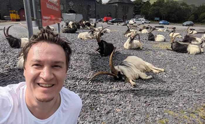 A person smiling outside a museum with lots of goats